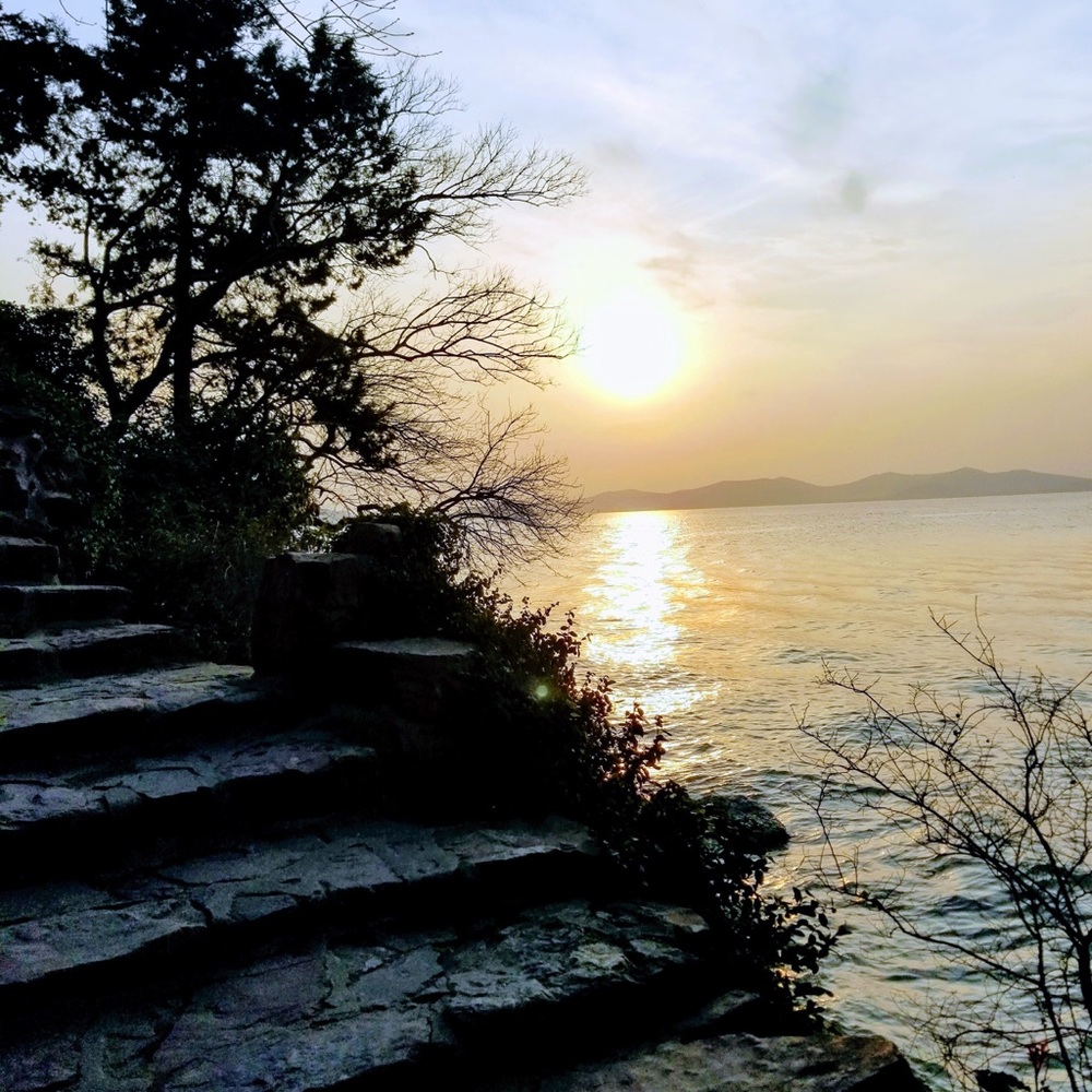 Meet your Posher, Harold